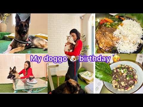 My Doggie 🐶 4th Birthday 🥳 🎂 || Samrin Naaz