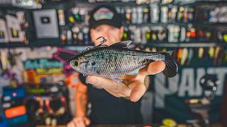 BAIT DROP! 6th Sense Drops Another New Swimbait "The Option" & I Stick a Giant on Topwater