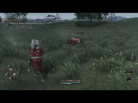 Rise of the Ronin - Strong Ronin Level 55 sent to heaven by wild pigs