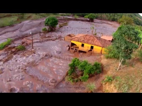 Disastro ambientale in Brasile