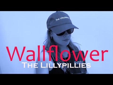 The Lillypillies - Wallflower