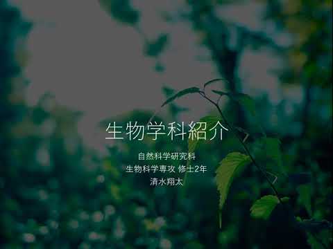 学生による理学部生物学科紹介２
