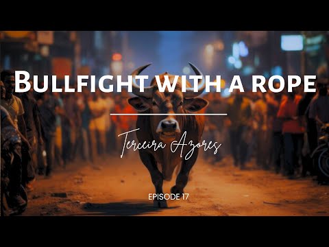 Terceira Island: Bullfight With a Rope - Azores Travel Guide