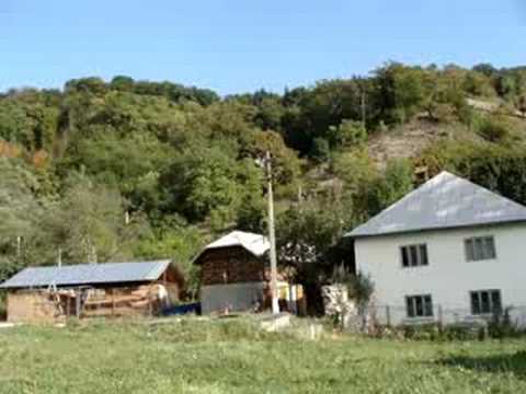 Bolnita manastirii Bistrita Valceana