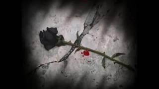 Mi rosa negra (sup ingles)