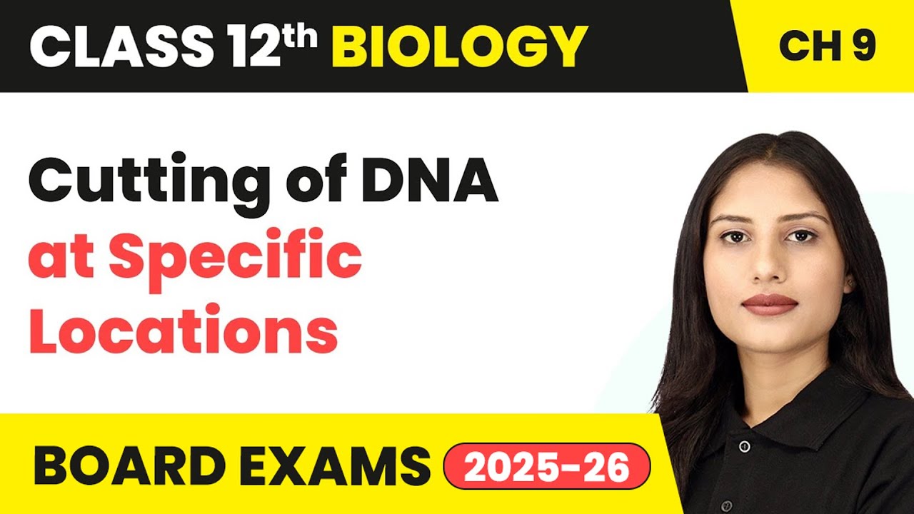 Cutting of DNA at Specific Locations | Class 12 Biology Chapter 9 | CBSE 2024-25