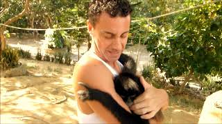 preview picture of video 'Jugando a las palmadas con un chango / Jeu de mains avec un singe / clapping game with monkey'