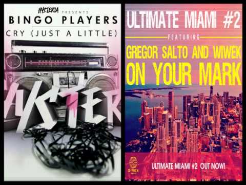 Bingo Players ft Gregor Salto and Wiwek  Cry Just A Little On your Mark (trijandie's remix)
