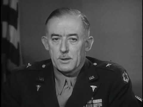 DDT—Weapon Against Disease (US Army, 1945)