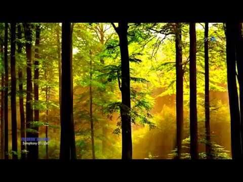 download lagu mp3 mp4 Frederic Delaru Symphony Of Light, download mp3 Frederic Delaru Symphony Of Light free download, download mp3 Frederic Delaru Symphony Of Light
