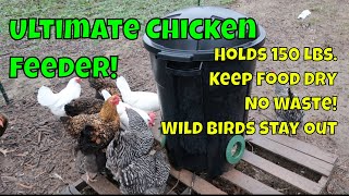 DIY Automatic Chicken Feeder! Hold 150 lbs. of Feed!