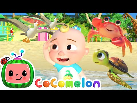 Sea Animal Song! | CoComelon Animal Time | Animal Nursery Rhymes