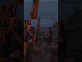 Bismillah Song Whatsapp Status A Pothe Kono Rin Ney Arijit Singh New Song Status Shorts