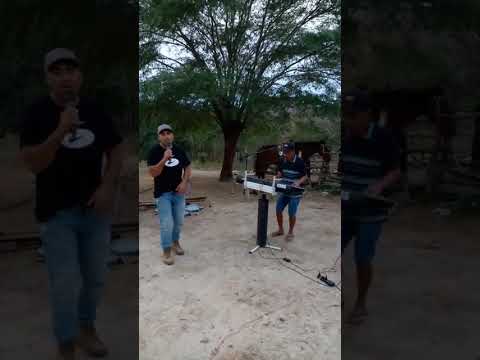 RÉGIS DOS TECLADOS O GALÃ DO PISEIRO AO VIVO NA BAHIA CONTATO PARA SHOW(11) 93401-5799
