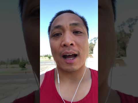 qu'est-ce que tu as fait hier French & English