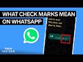 What Do The Check Marks Mean On WhatsApp Tech Insider