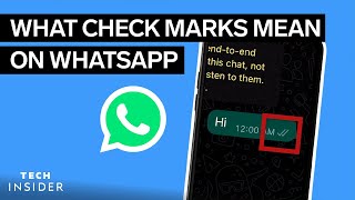 What Do The Check Marks Mean On WhatsApp? | Tech Insider