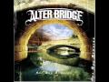 Alter bridge Metalingus 