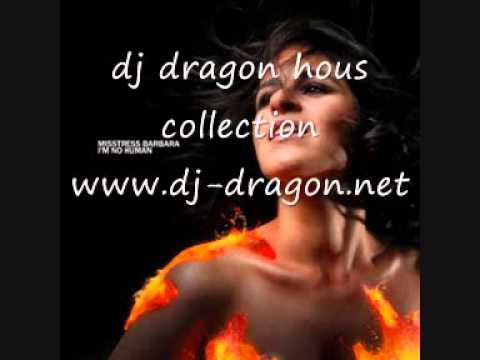 DJ Dragon house 2009