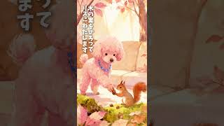 本 #シニア犬との暮らし #トイプードル18歳