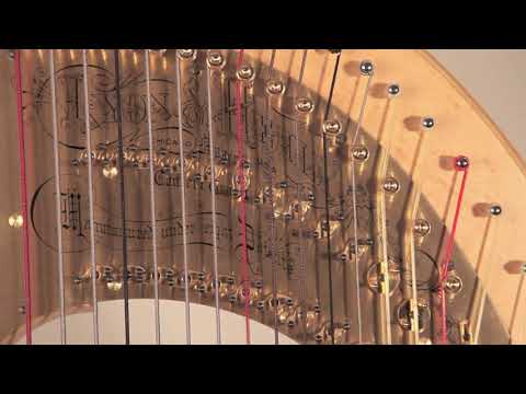 Moving into a pedal buzz