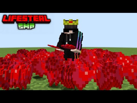 Anokha Gaming - How I Got Max Hearts On This LIFESTEAL SMP In Minecraft...