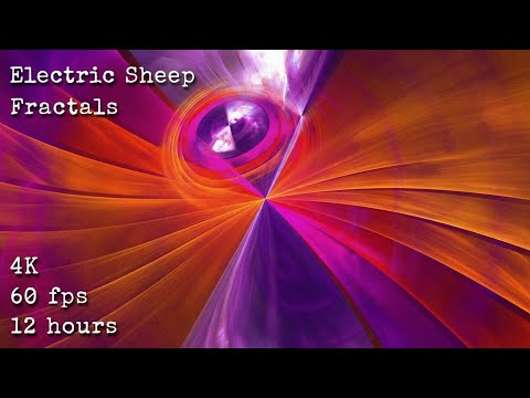 Electric Sheep Fractals 4K 60fps 12 hours ambient animation