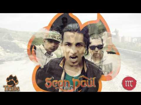 ROMANO RAP TIGERS (KING)