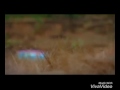 Chillu Ranthal Vilakke Latest Song