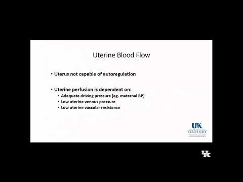Obstetric Anesthesia: Keyword Review (Part 1 of 3) - (Dr. Fragneto)