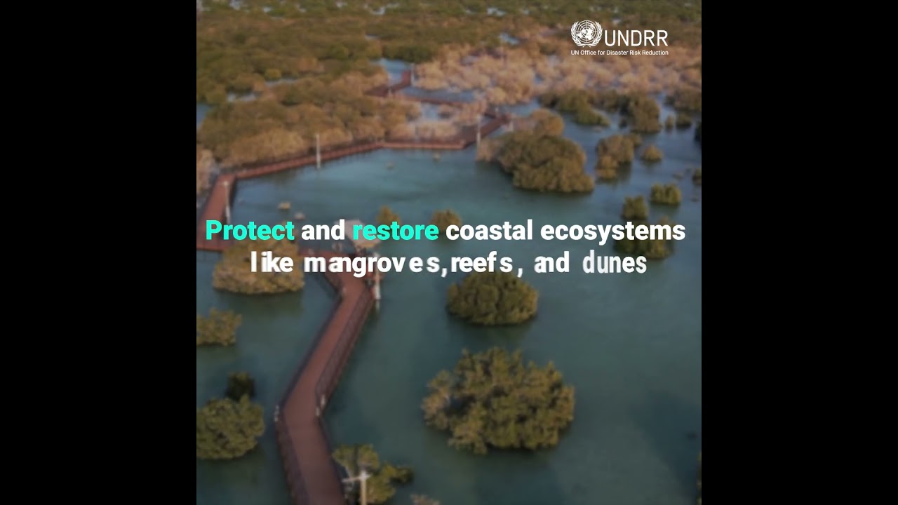 How we stop tsunami disasters | UNDRR