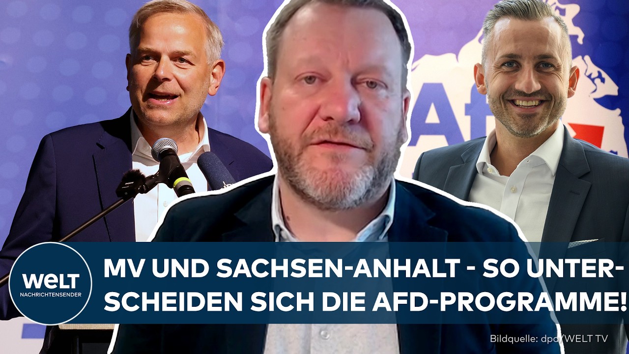 AFD: Polit-Experte erklärt! So unterscheiden sich die Programm in MV und Sachsen-Anhalt!