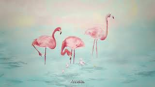 LA RÉVOLUTION DES FLAMANTS ROSES