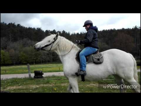 , title : 'J'apprends à un vrai débutant à monter à cheval !!'
