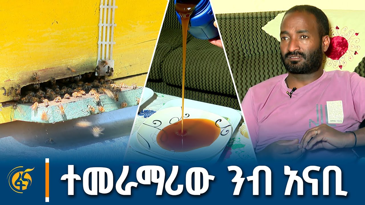 አካባቢውን የንብ መንጋ መፍለቂያ ማድረግን የሚያልመው ብርቱ