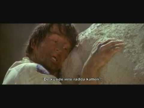 The cat is on the roof - Capricorn One (Sam Waterston)