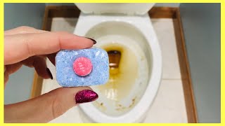 Put a Dishwasher Tablet in your Toilet Bowl & WATCH WHAT HAPPENS!!  (6 Genius Uses) | Andrea Jean