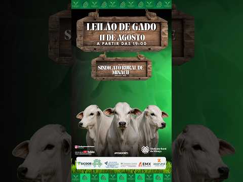 LEILÃO GADO DE CORTE - SINDICATO RURAL DE MINAÇU GO - 11/08/2026