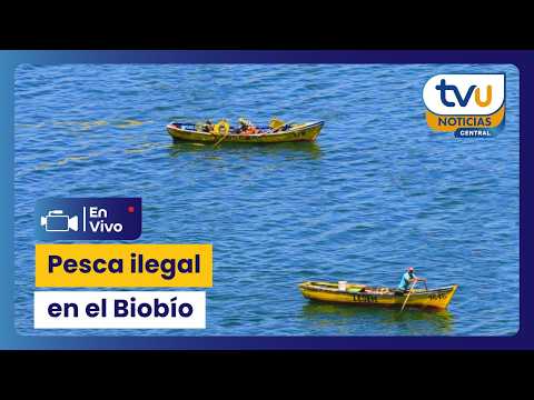 Pesca ilegal en el Biobío - TVU Noticias Central - 2 de septiembre de 2026
