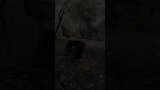 Download lagu Jagalah lisanmu wahai saudaraku#story wa. #shortsvideo mp3