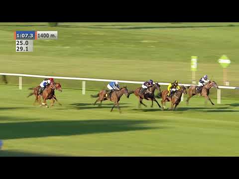 16.08.2020 (D24; G8; Tor: 2,5; 28°C)