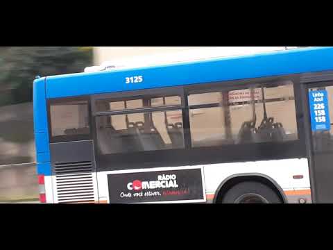 STCP No Linha 805 Veículos 3115, 3123, 3125,