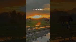 Download lagu Salam Tresno - Denny Caknan #liriklagu #storywa #dennycaknan #salamtresno #laguviral mp3 Download lagu Salam Tresno - Denny Caknan #liriklagu #storywa #dennycaknan #salamtresno #laguviral mp3