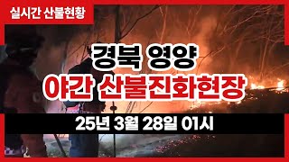 [#영양산불] 경북 영양 야간 산불진화현장 (25년 3월 28일 01시 경)