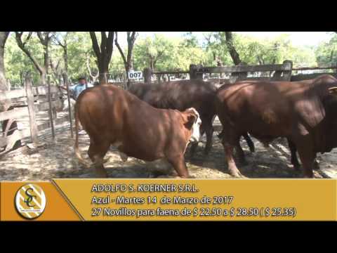 14-03-17- Venta de hacienda al kilo - Adolfo S. Koerner S.R.L.- Azul.
