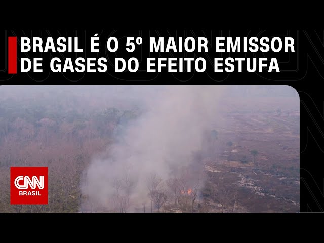 CNN Greener: Brazil is the 5th largest emitter of greenhouse gases |  CNN NEW DAY