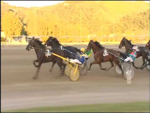 Trotto 30/10/2016 - 6ª corsa