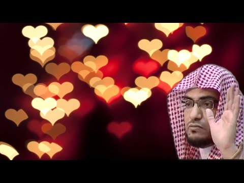 Priča o Džemilu i Busejni- Šejh Salih el-Megamisi