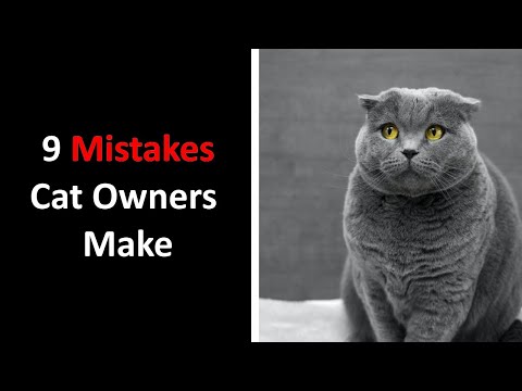 9 mistakes cat owners make
