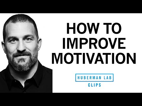Protocol for Instant Motivation & Alertness | Dr. Andrew Huberman